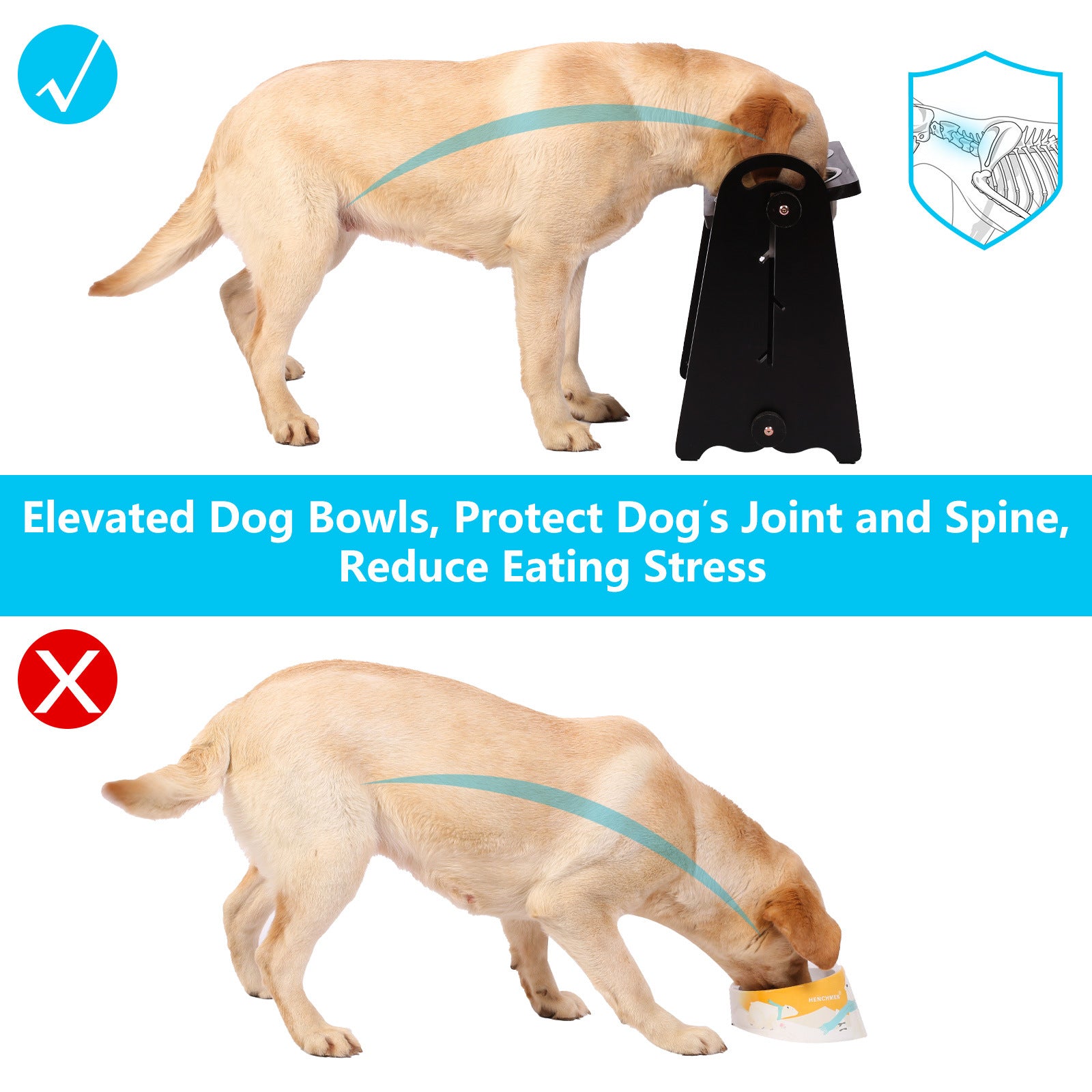 Elevated Dog Bowls for Medium Large Sized Dogs, Adjustable Heights Raised Dog Feeder Bowl with Stand for Food & Water Doba